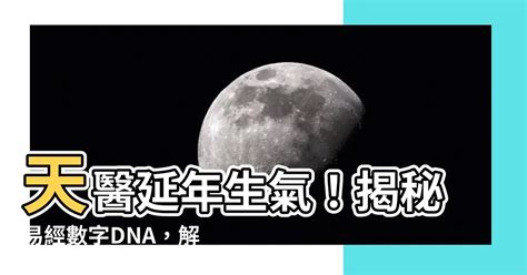 天醫數|【天醫 延年 生氣】解鎖你的數字運勢：天醫、延年、生氣號碼全。